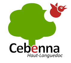 Occitanie-rando - Atelier - Hérault - Olargues - Atelier plantes comestibles - Centre Cebenna