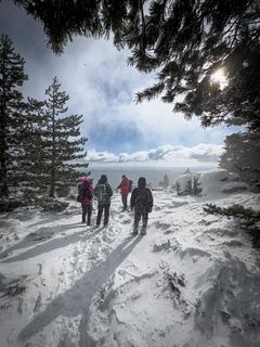 Trek dans la neige au sommet du massif du Caroux