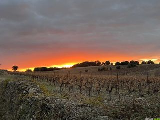 Randonnée sur le GR® de Pays Tours en Minervois Saint-Chinian Faugères – Boucle n°5 : Tour en Faugères