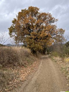Randonnée sur le GR® de Pays Tours en Minervois Saint-Chinian Faugères – Boucle n°5 : Tour en Faugères Randonnée sur le GR® de Pays Tours en Minervois Saint-Chinian Faugères – Boucle n°5 : Tour en Faugères