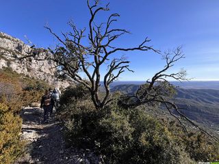 Randonnée Montpeyroux – Mont Saint-Baudille - massif de la Séranne