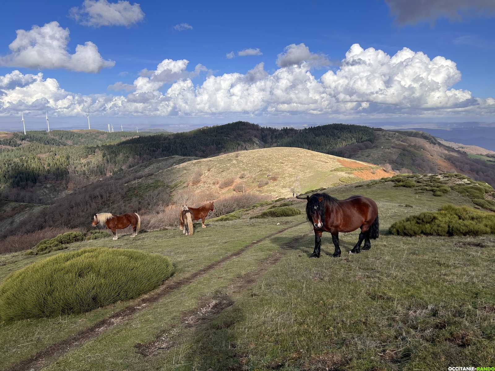 Randonnée sportive au Mont Marcou depuis Saint-Gervais-sur-Mare