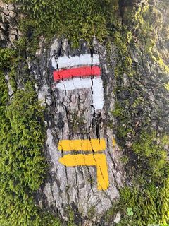 Randonnée sportive au Mont Marcou depuis Saint-Gervais-sur-Mare