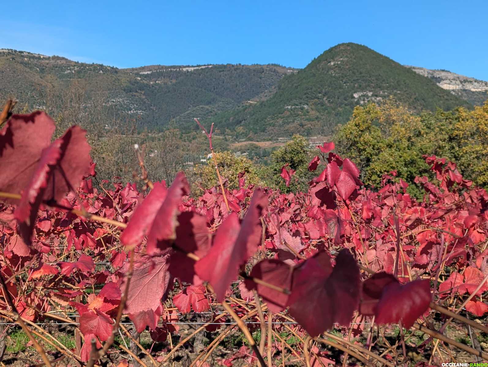 Randonnée à Fozières : un itinéraire panoramique entre patrimoine médiéval, forêt de Parlatges et vues sur la Méditerranée