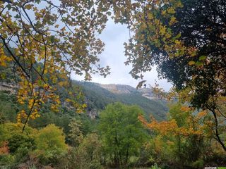 Une randonnée spectaculaire au pied du causse du Larzac Une randonnée spectaculaire au pied du causse du Larzac