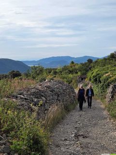 Randonnée au plateau du Grézac et oppidum de Lodève