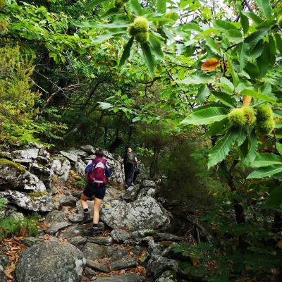 Occitanie Rando Trekking Caroux Gorges Colombieres Refuge Lafage Seilhols Maite03