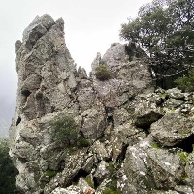 Occitanie Rando Trekking Herault Caroux Mons Sentier Superieur Cabalet Mons 14