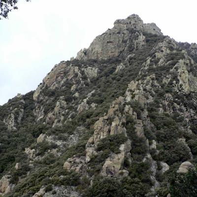 Occitanie Rando Trekking Herault Caroux Saint Martin De Arcon Sentier Des Gardes 73