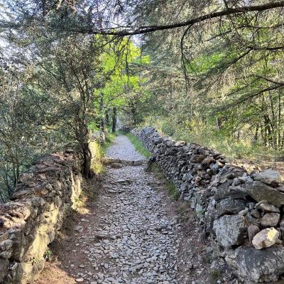 Occitanie Trekking Gard Sentier 4000 Marches Valleraugue Mont Aigoual 07