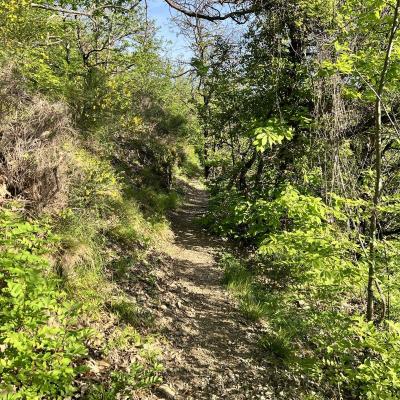 Occitanie Trekking Gard Sentier 4000 Marches Valleraugue Mont Aigoual 09