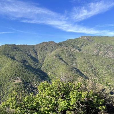 Occitanie Trekking Gard Sentier 4000 Marches Valleraugue Mont Aigoual 11