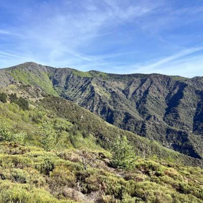 Occitanie Trekking Gard Sentier 4000 Marches Valleraugue Mont Aigoual 21