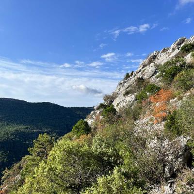 Occitanie Rando Trekking Pgairolles De Bueges Massif Seranne 19