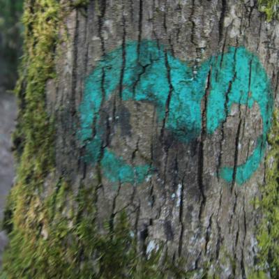 Randonne En Occitanie Du Vialais Au Caroux 01