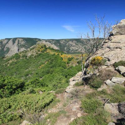 Randonne En Occitanie Du Vialais Au Caroux 03