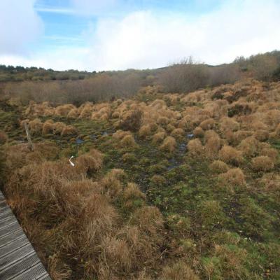Randonne En Occitanie Du Vialais Au Caroux 06