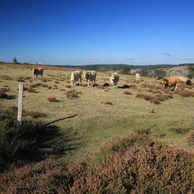 Randonne En Occitanie Du Vialais Au Caroux 14