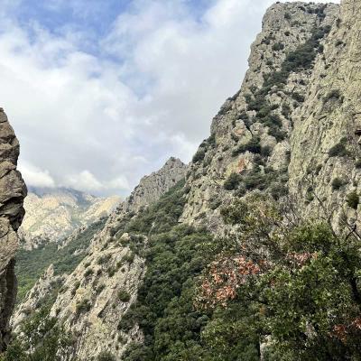Reco Trekking Arrete Lacoste Piste Des Aiguilles 116