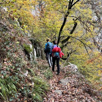 Occitanie Rando Trekking Chemin Legendes 1000 Marches Haut Languedoc 142