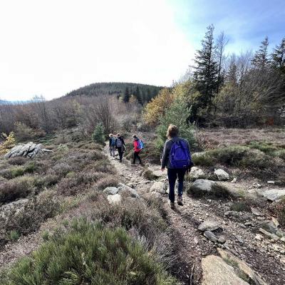 Occitanie Rando Trekking Chemin Legendes 1000 Marches Haut Languedoc 191