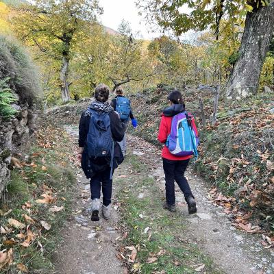 Occitanie Rando Trekking Chemin Legendes 1000 Marches Haut Languedoc 193