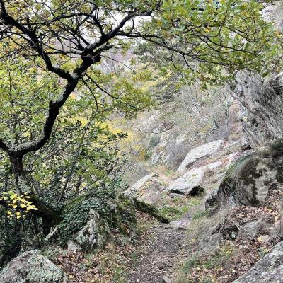 Occitanie Rando Trekking Chemin Legendes 1000 Marches Haut Languedoc 72