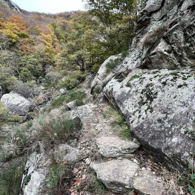 Occitanie Rando Trekking Chemin Legendes 1000 Marches Haut Languedoc 84