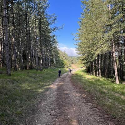 Occitanie Rando Herault Haut Languedoc Grp Entre Deux Lacs Avene Salagou 3 Jours 110