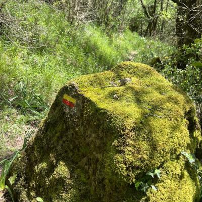 Occitanie Rando Herault Haut Languedoc Grp Entre Deux Lacs Avene Salagou 3 Jours 156