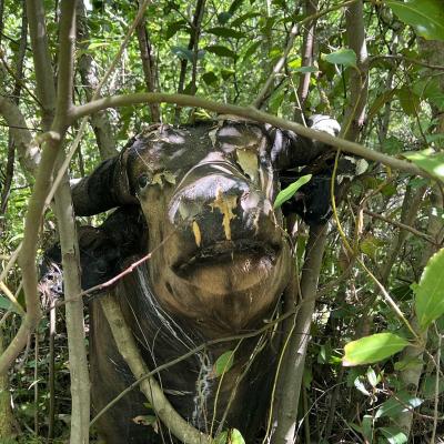 Occitanie Rando Herault Haut Languedoc Grp Entre Deux Lacs Avene Salagou 3 Jours 318