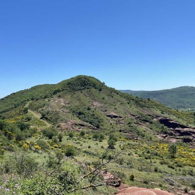 Occitanie Rando Herault Haut Languedoc Grp Entre Deux Lacs Avene Salagou 3 Jours 339
