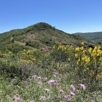 Occitanie Rando Herault Haut Languedoc Grp Entre Deux Lacs Avene Salagou 3 Jours 342