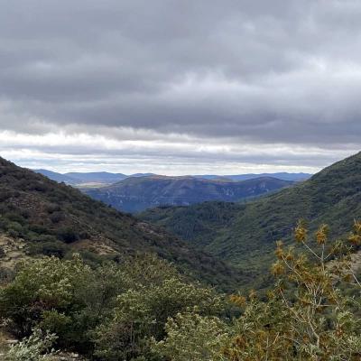 Occitanie Rando Randonnee Gard Mont Aigoual Cevennes 131