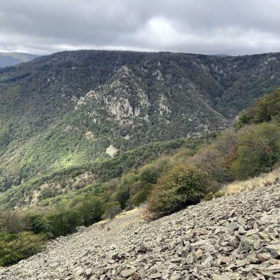 Occitanie Rando Randonnee Gard Mont Aigoual Cevennes 50