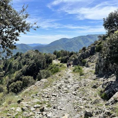 Occitanie Trekking Gard Sentier 4000 Marches Valleraugue Mont Aigoual 92