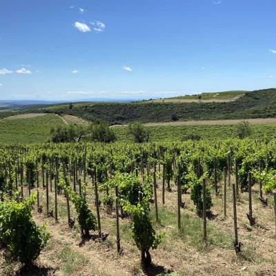 Occitanie Rando Tour Haut Languedoc Vignobles 66
