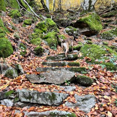 Occitanie Rando Trekking Chemin Legendes 1000 Marches Haut Languedoc 140