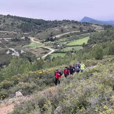 Occitanie Rando Herault Rando Pedestre Tourelles Aux Meules Nebian 100
