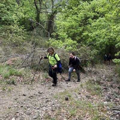 Occitanie Rando Herault Rando Pedestre Tourelles Aux Meules Nebian 118