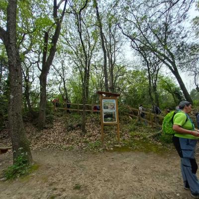 Occitanie Rando Herault Rando Pedestre Tourelles Aux Meules Nebian 135