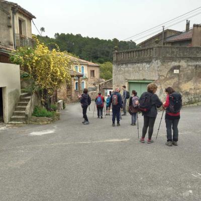 Occitanie Rando Herault Rando Pedestre Tourelles Aux Meules Nebian 138