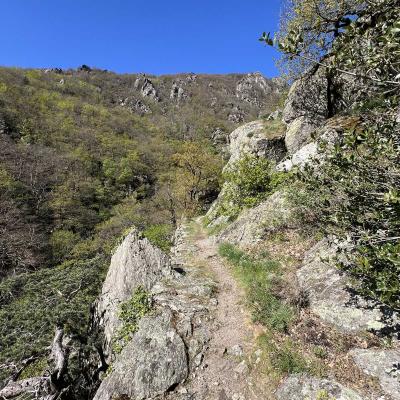 Occitanie Rando Herault Trekking Premian Saut Vezoles Chemin Legendes 162