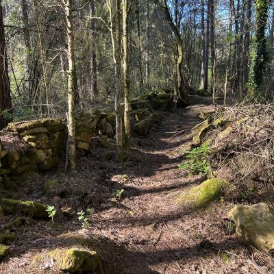 Occitanie Rando Herault Haut Languedoc Grp Entre Deux Lacs Avene Salagou 3 Jours 109