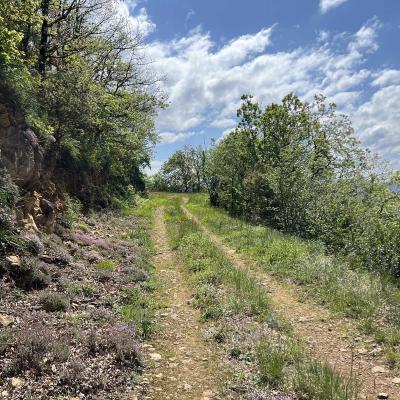 Occitanie Rando Herault Haut Languedoc Grp Entre Deux Lacs Avene Salagou 3 Jours 154
