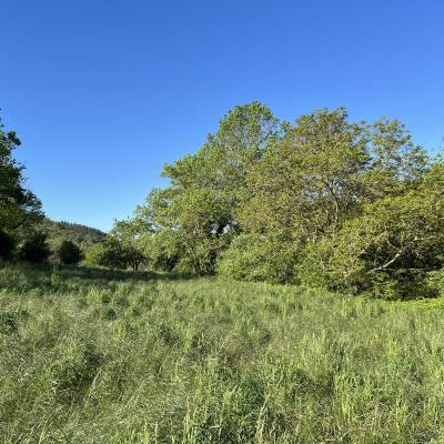 Occitanie Rando Herault Haut Languedoc Grp Entre Deux Lacs Avene Salagou 3 Jours 218