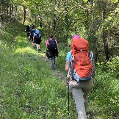 Occitanie Rando Herault Haut Languedoc Grp Entre Deux Lacs Avene Salagou 3 Jours 221