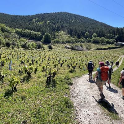 Occitanie Rando Herault Haut Languedoc Grp Entre Deux Lacs Avene Salagou 3 Jours 241