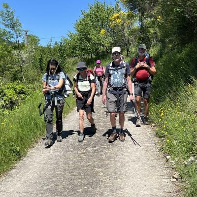Occitanie Rando Herault Haut Languedoc Grp Entre Deux Lacs Avene Salagou 3 Jours 245