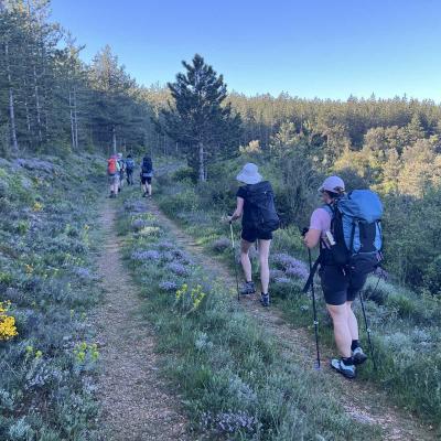 Occitanie Rando Herault Haut Languedoc Grp Entre Deux Lacs Avene Salagou 3 Jours 271